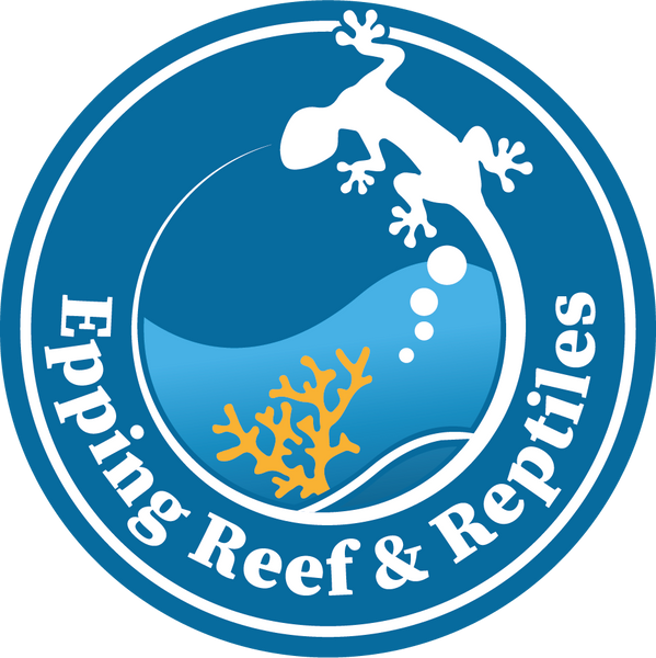 Welcome to Epping Reef and Reptiles: Your One-Stop Shop for All Things Aquatic and Reptilian!