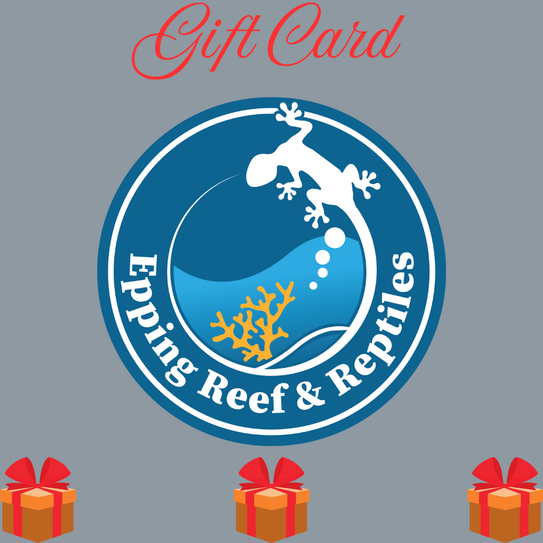 Gift Cards