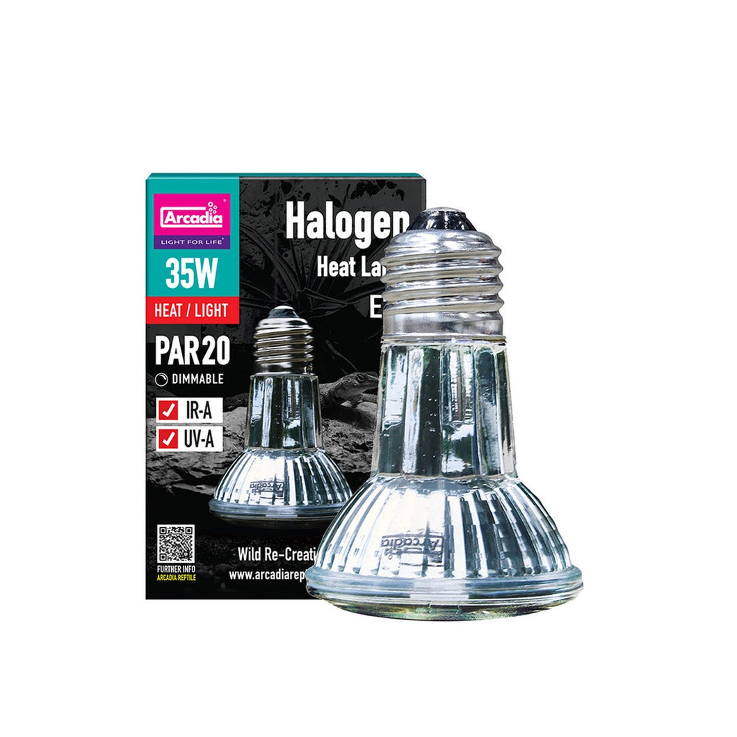 Arcadia Mini Halogen Flood Lamp