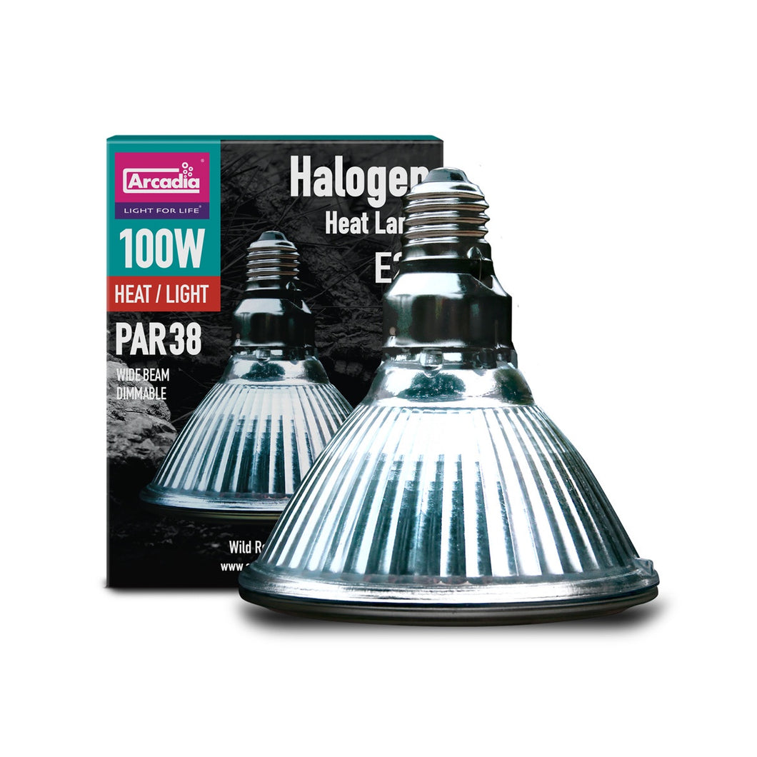 Arcadia Halogen Basking Spot (E27), 100 Watt