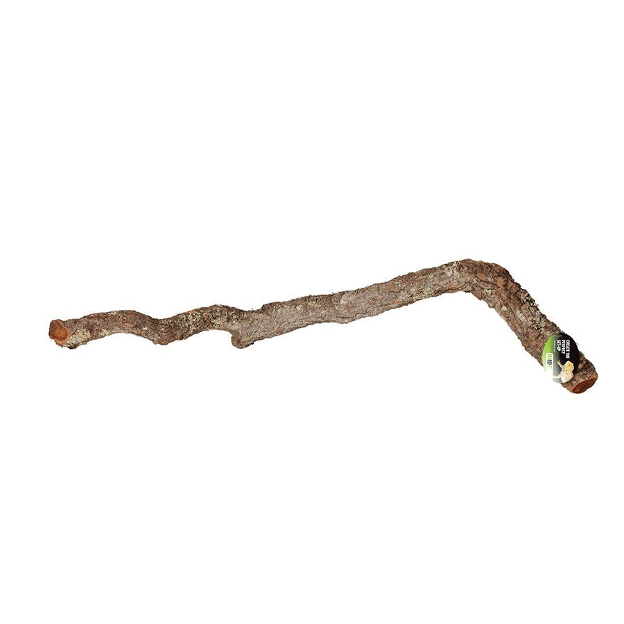 ProRep Cork Oak Branch, 40-60cm