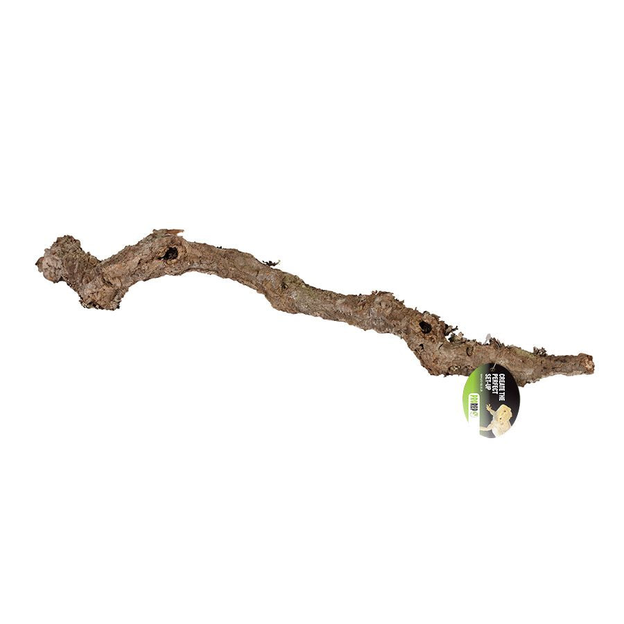 ProRep Cork Oak Branch, 80-100cm