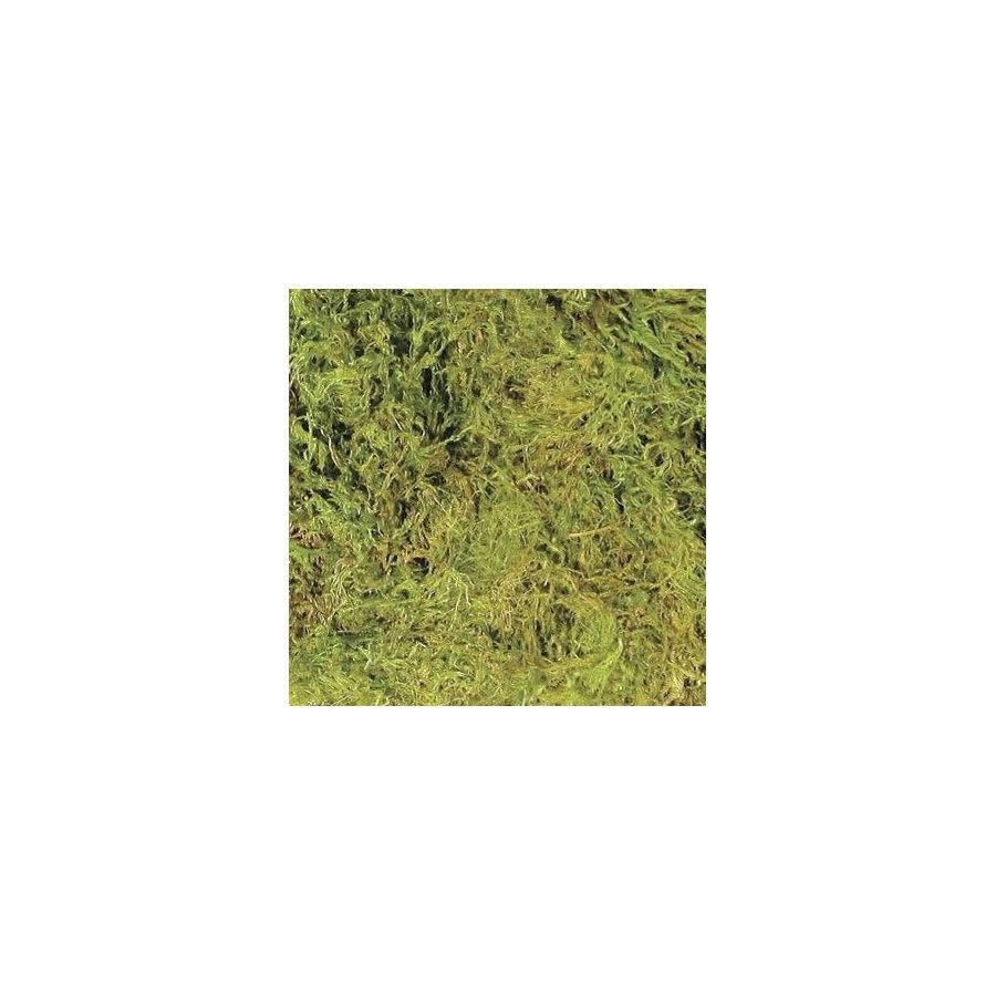 Zoo Med Terrarium Moss, Large 3.28L