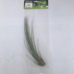 ProRep Airplant Large Juncea