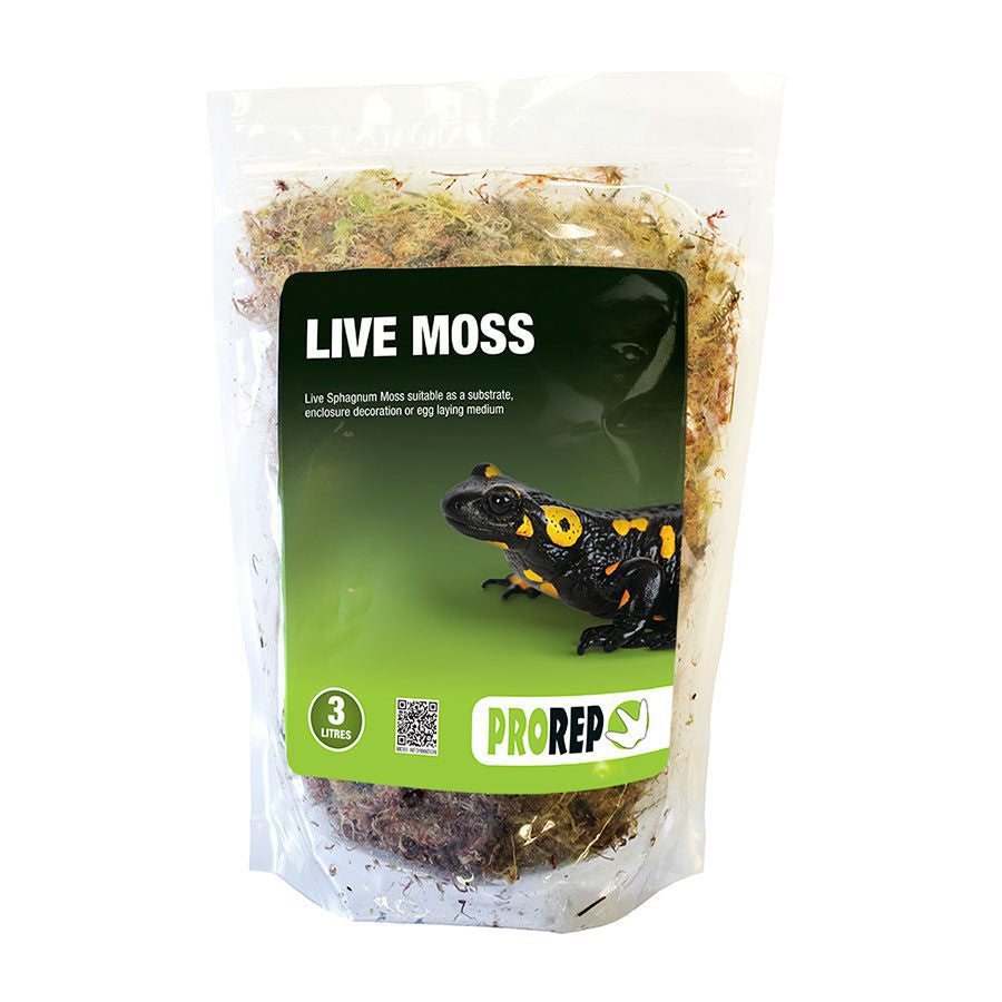 ProRep Live Moss, Large Bag (approx 3L)