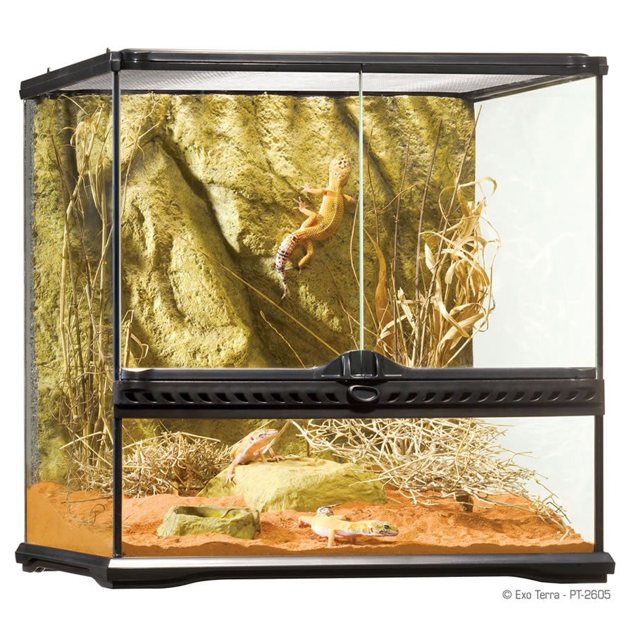 Exo Terra Terrarium Sml/Wide 45x45x45cm